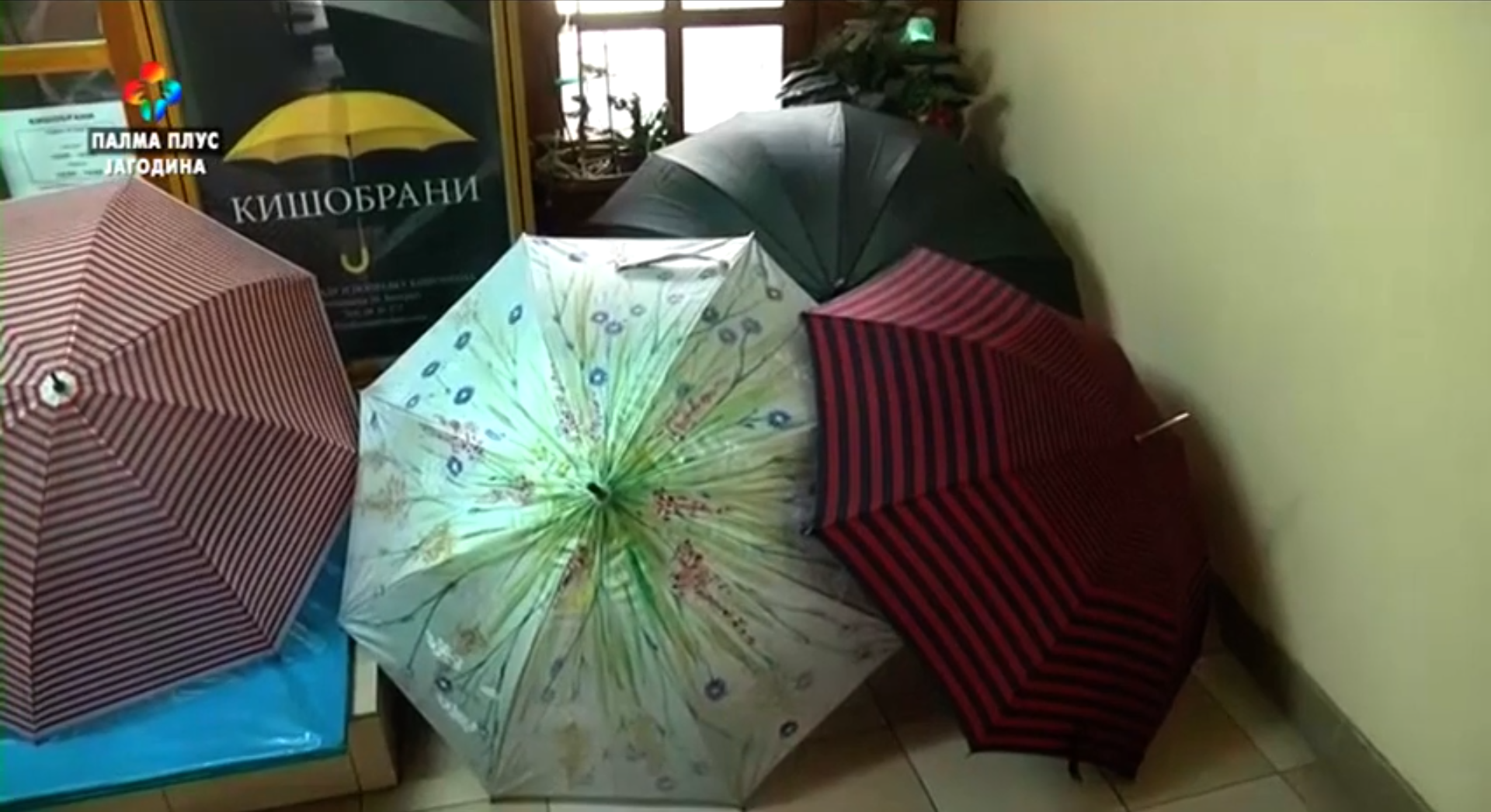 DODATNA LJUBAV – KISOBRANI