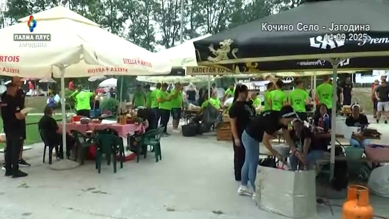 Gulasijada Kocin hrast 14,9