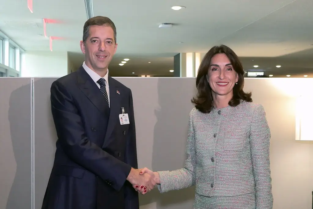 main_webp_auto_generated_djuric_gruzija240925