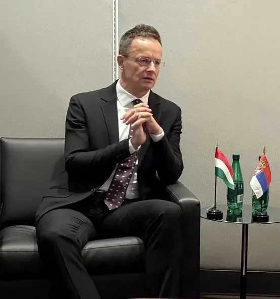 main_webp_auto_generated_djuric_sijarto240925