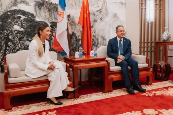 main_webp_auto_generated_mesarovic050825