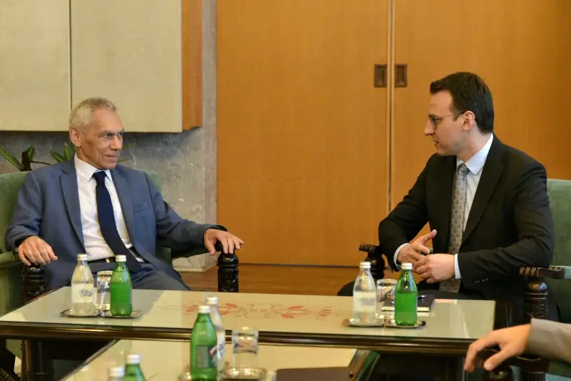 main_webp_auto_generated_petkovic280725