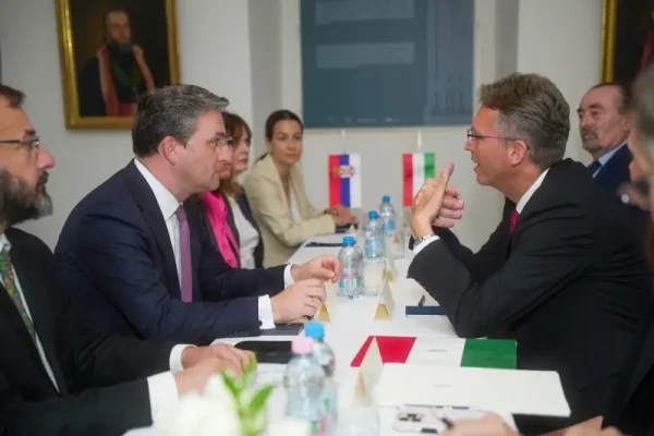 main_webp_auto_generated_selakovic220925_11