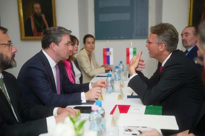 main_webp_auto_generated_selakovic220925_11