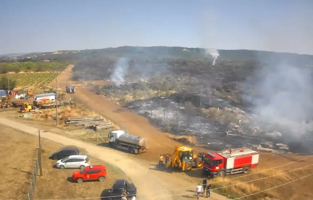 main_webp_auto_generated_svs120825