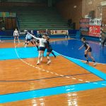 Rukometasice jagodine