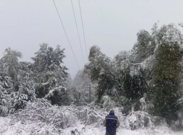 301474_eds-nevreme-kvarovi_f