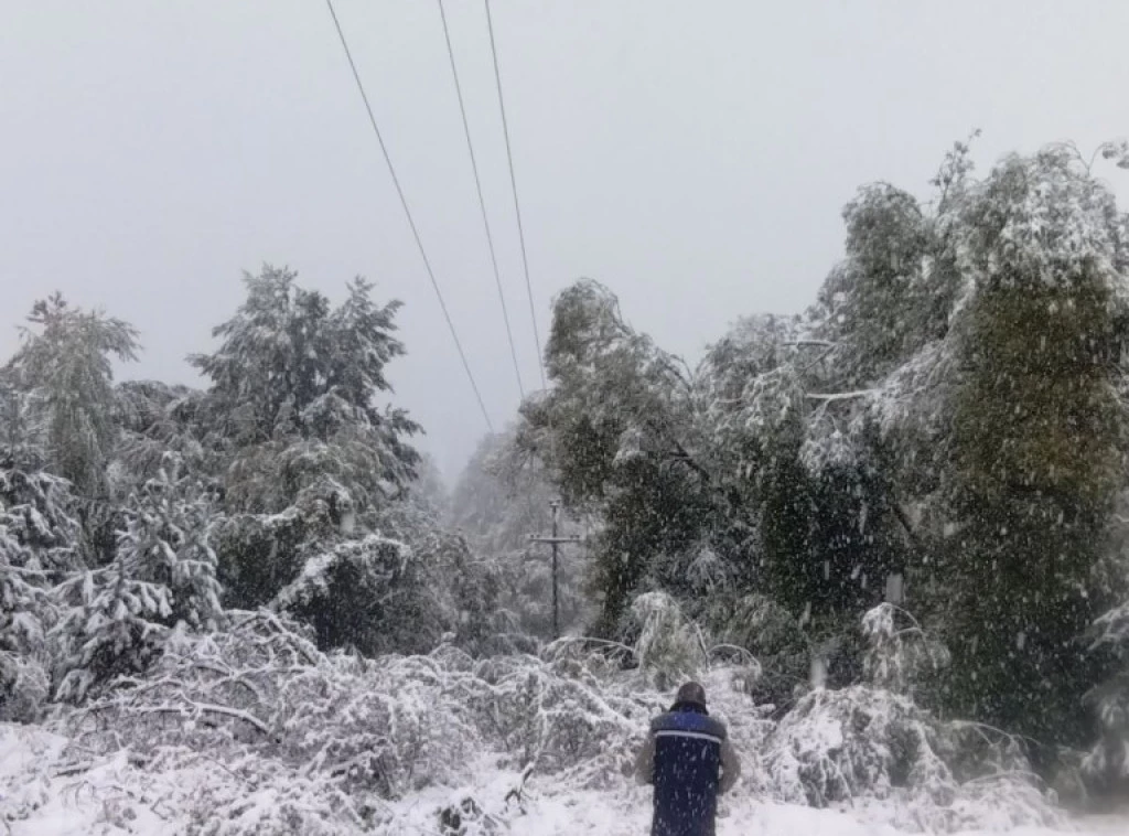 301474_eds-nevreme-kvarovi_f