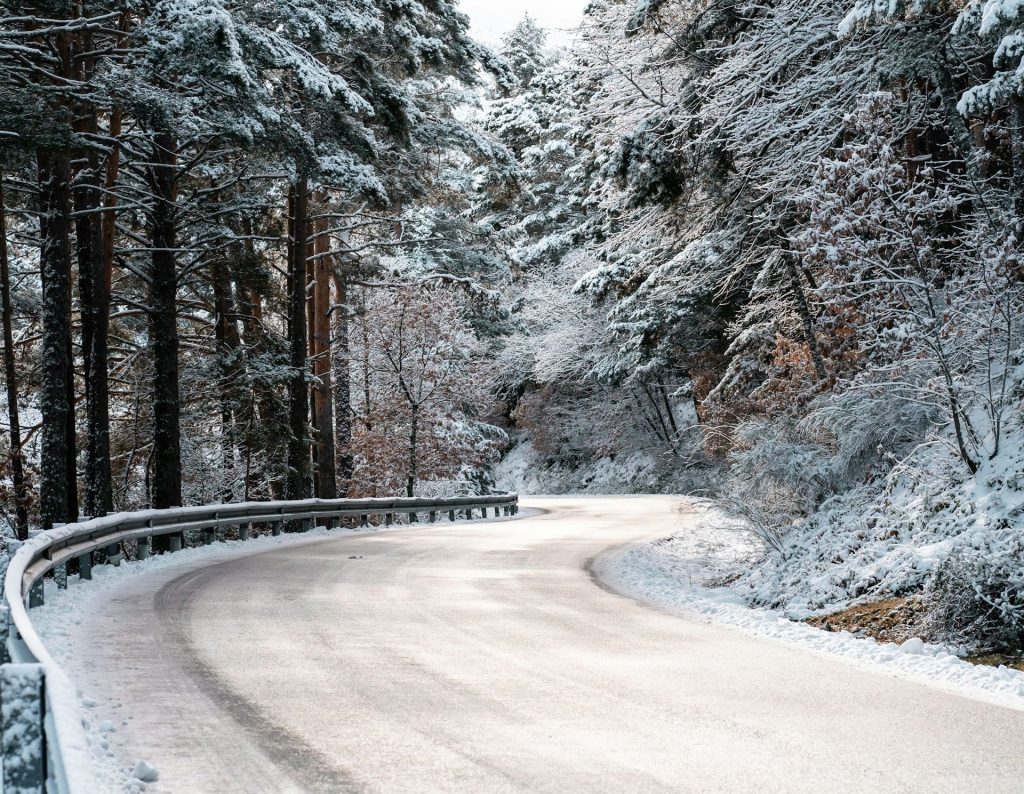 Alberto Frías on Unsplash_šuma, sneg, put_crop