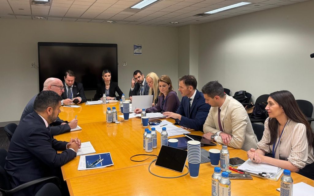 Mali u Vašingtonu,sastanak