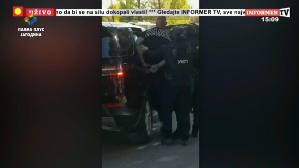 Miša Bačulov 03, TV Palma Plus – logo