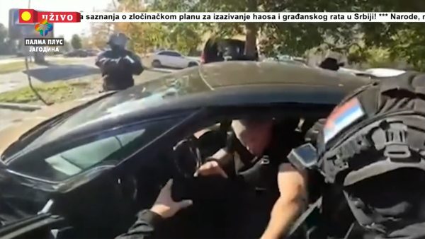 Miša Bačulov, TV Palma Plus – logo