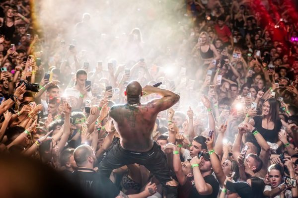 Dragomir Despić Desingerica