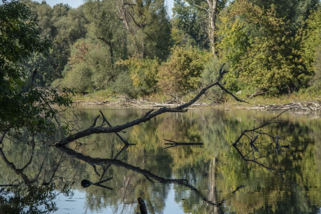 Vremenska prognoza sunčano