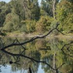 Vremenska prognoza sunčano