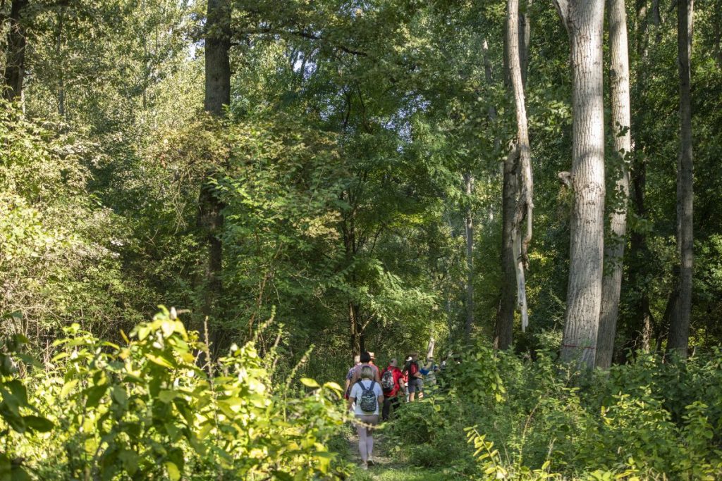 Šetnja u prirodi vremenska prognoza