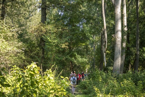 Šetnja u prirodi vremenska prognoza