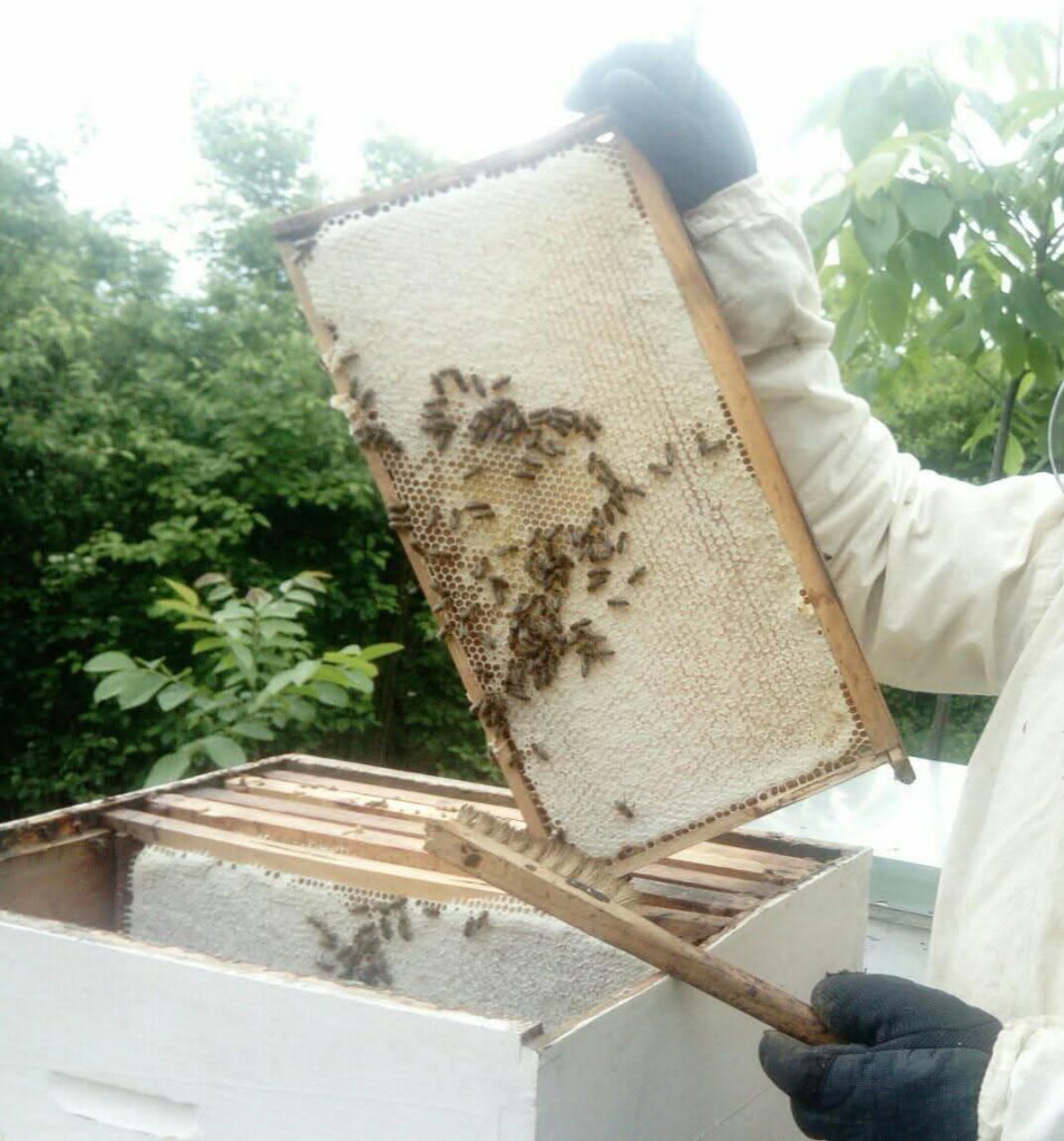 WhatsApp Image 2025-09-10 at 15.35.11