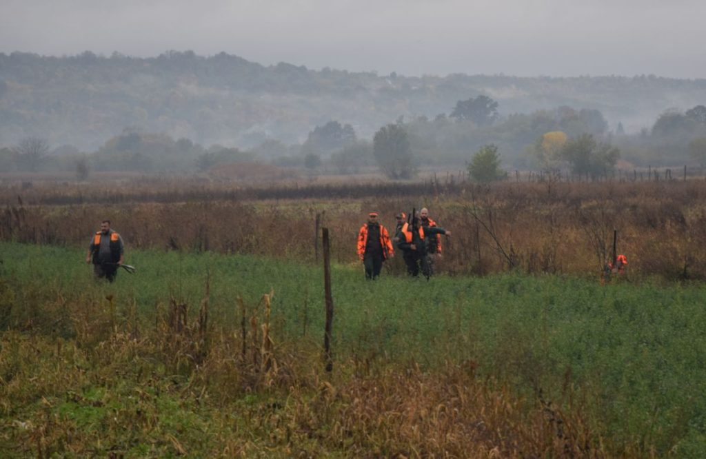image002 Lov na fazane Jagodina, Šuljkovac, Zorica Gligorijević
