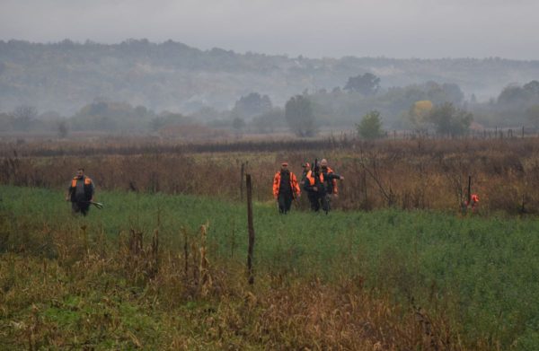 image002 Lov na fazane Jagodina, Šuljkovac, Zorica Gligorijević