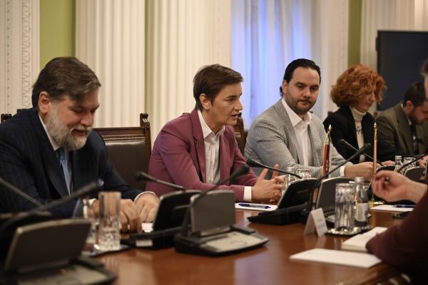 image002gotovo Peđa Vučković, Brnabić