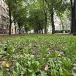 image004gotovo Vremenska prognoza Jagodina