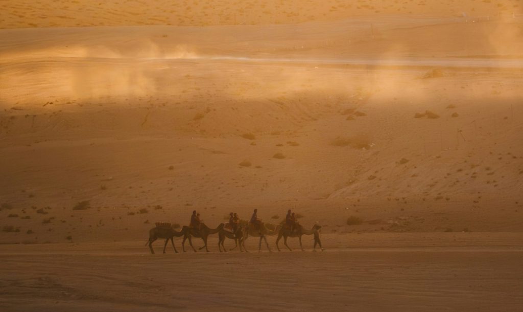 peter-thomas-VrY0sWauRQ8-unsplash