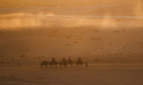 peter-thomas-VrY0sWauRQ8-unsplash