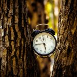 yaniv-knobel-2YWS62tLATA-unsplash