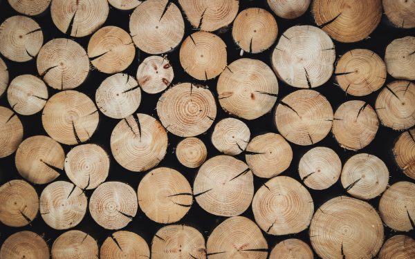 Srbijašume 1920×1080