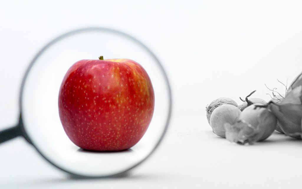 Zakon o kontroli hrane, inspekcija