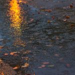 pexels-arron-mccrory-138221-11631358