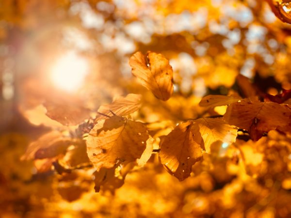 timotheus-frobel-g-JEZ3bS1-c-unsplash