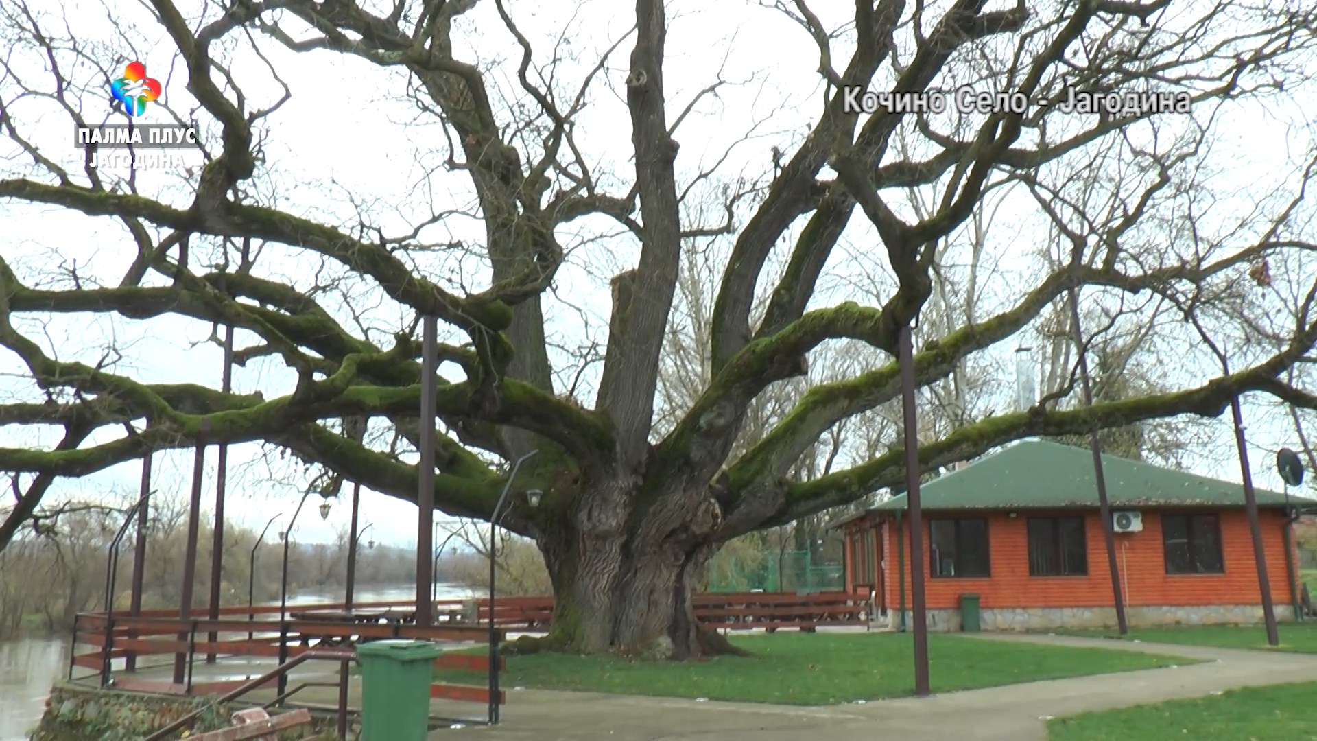 OGNJISTE – KOCIN HRAST 7.12.2025 FHD ZA YOUTUBE.mp4_snapshot_39.30.849