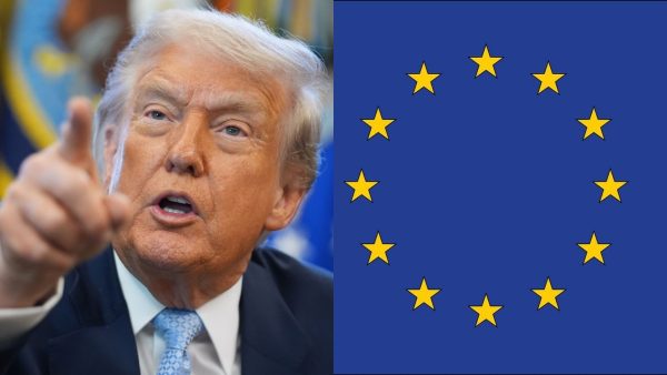 Untitled design (43)