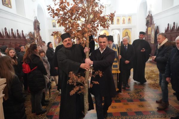 162de3ce-3feb-4f71-8218-205f73a825da