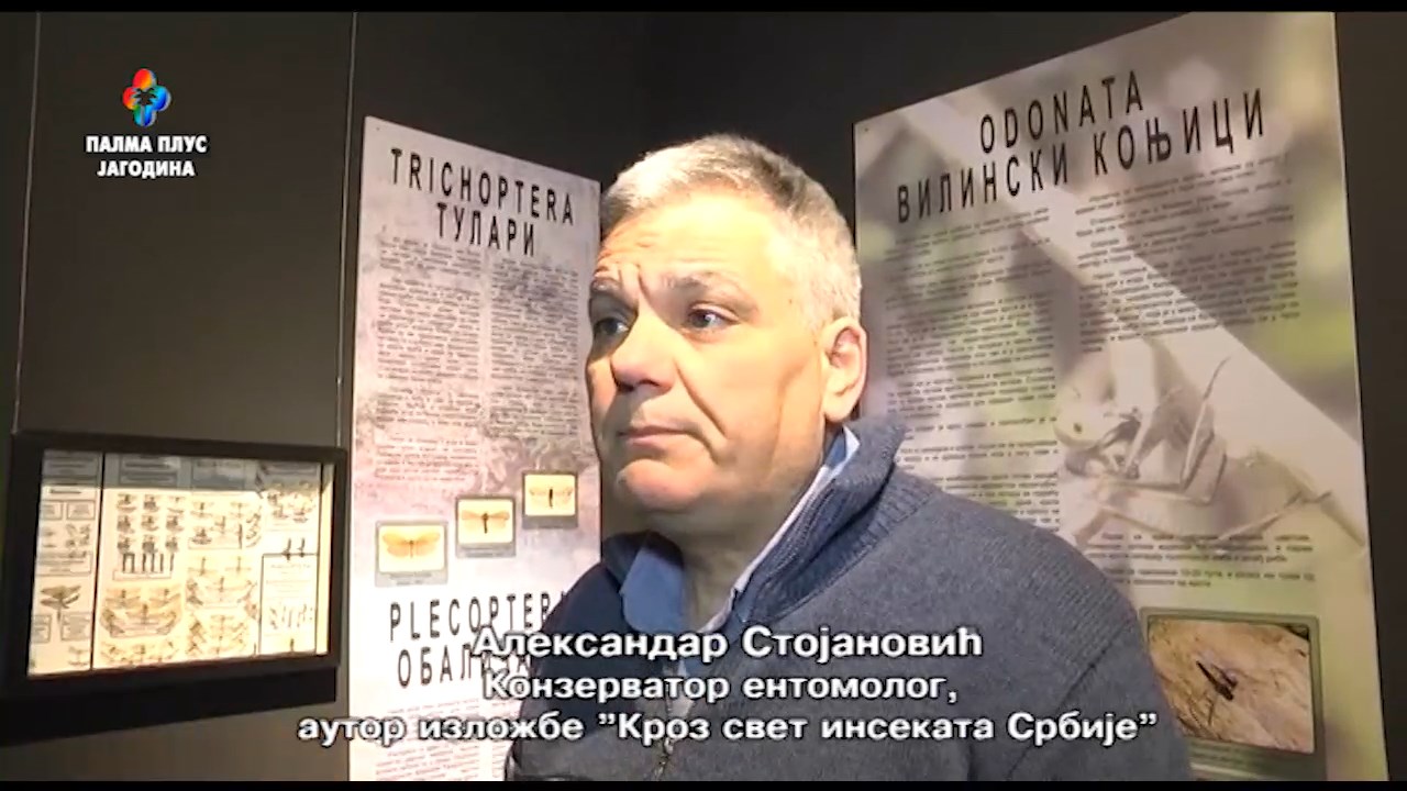 DODATNA LJUBAV – INSEKTI IZLOZBA 11.1.2025.mp4_snapshot_09.36.745