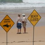 Australia Shark Attacks