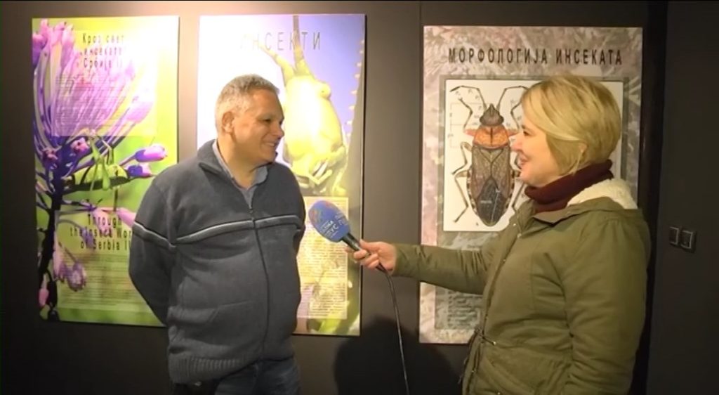 DODATNA LJUBAV – INSEKTI IZLOZBA 11.1.2026.mp4_snapshot_00.54.842