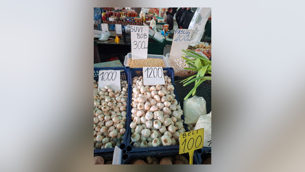 Untitled design (20)