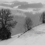 christiane-nuetzel-udedxHRovlQ-unsplash