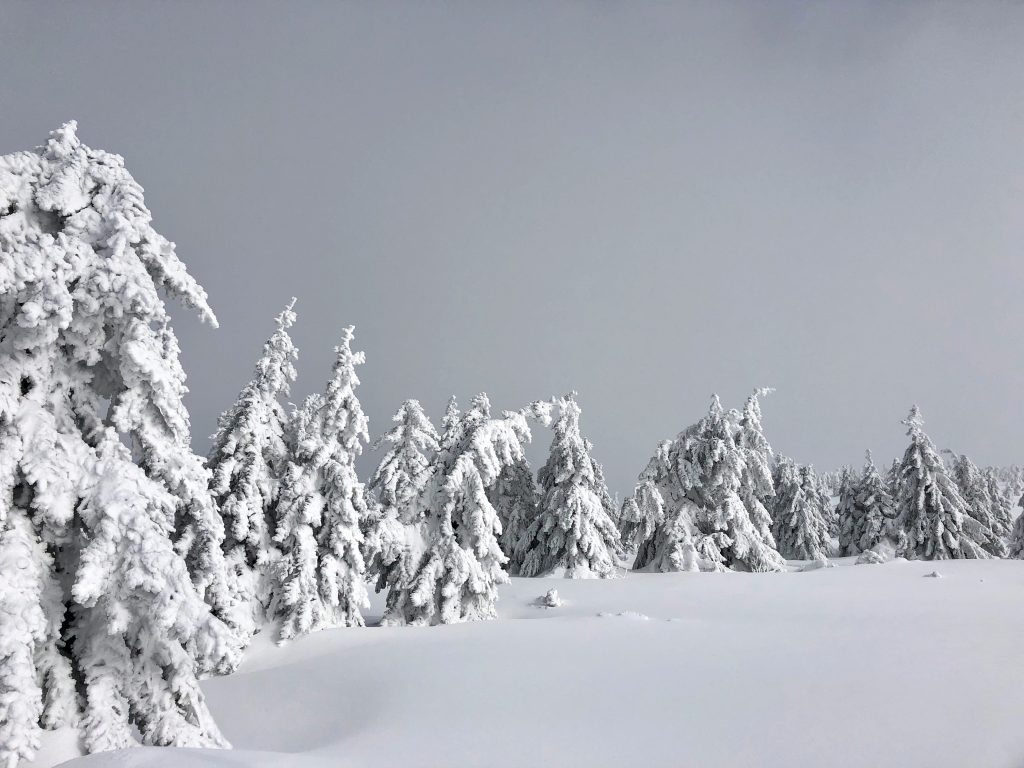 natalie-viklicka-9asoWL2sRkI-unsplash