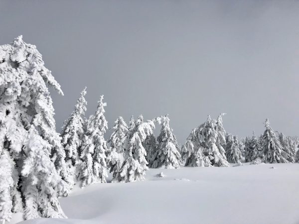 natalie-viklicka-9asoWL2sRkI-unsplash