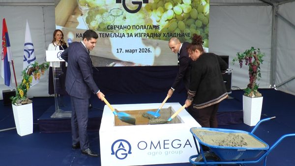 00049.MTS_snapshot_00.41_[2026.03.17_12.04.12] (1)