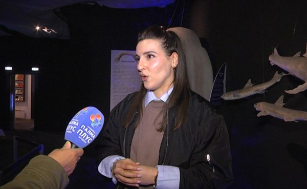 Prirodnjački muzej – TV Palma Plus – 1950×1200 (1)