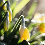 Visibabe, sunčano, vremenska prognoza, hladno, sveže – Aedrian Salazar on Unsplash – 1950×1200