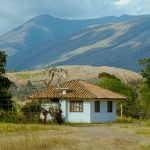 selena-jimenez-0VFHozu1MEw-unsplash