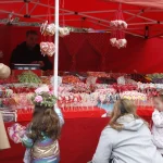 233789_beograd-lazarevasubota-vrbica_f