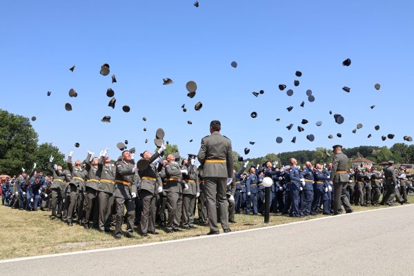 25_img_6588_1753438286_1756734005_1775029920