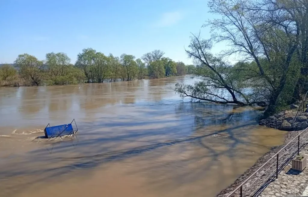 Izvlačenje čoveka iz Velike Morave kod Jagodine (2)